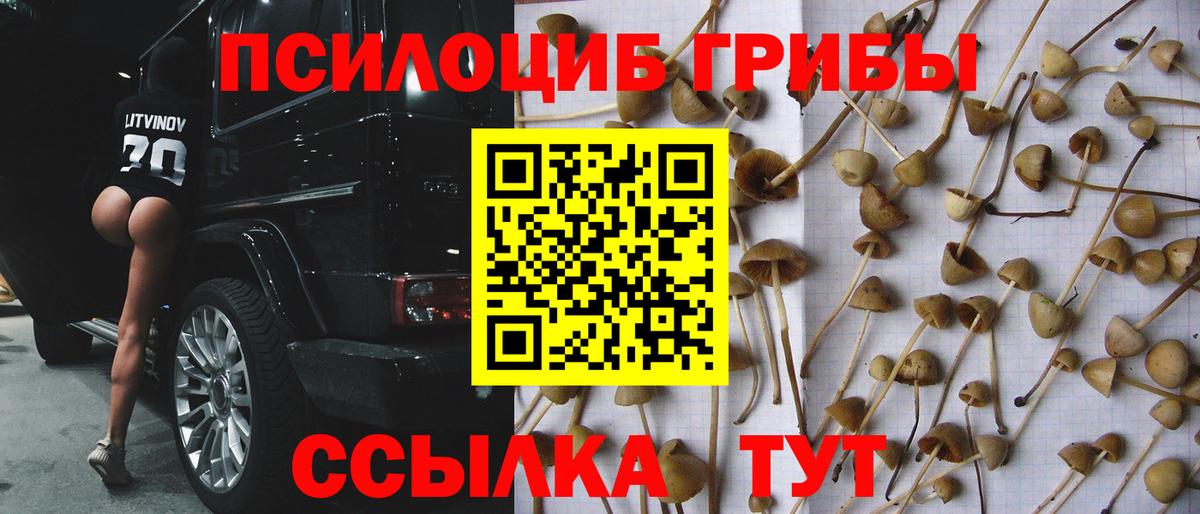 Галлюциногенные грибы прущие грибы  Вход с VPN  Реж 